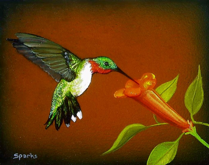 Ruby Throated
        Hummingbird III