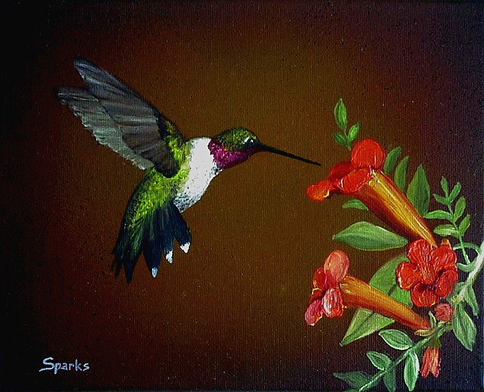 Ruby Throated
          Hummingbird